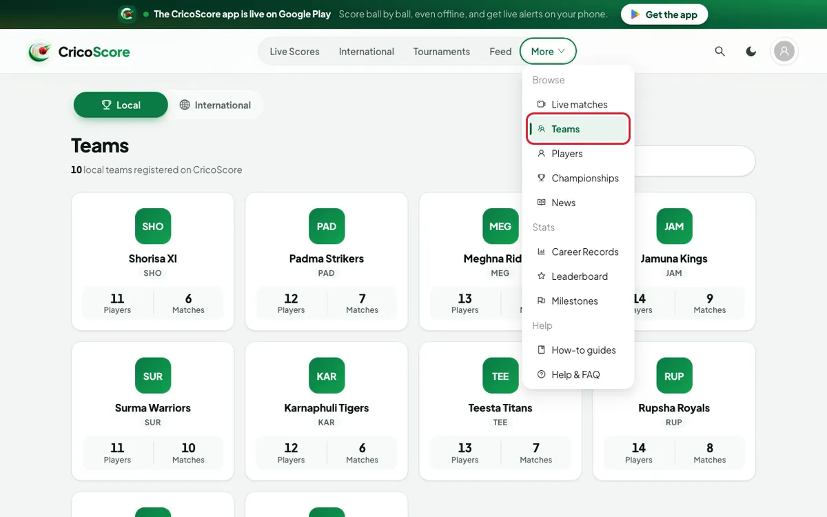 The More menu open at the top of the website on a computer. Teams in the menu is circled.